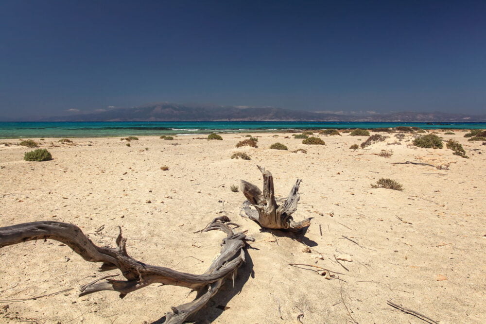 chrissi island in crete