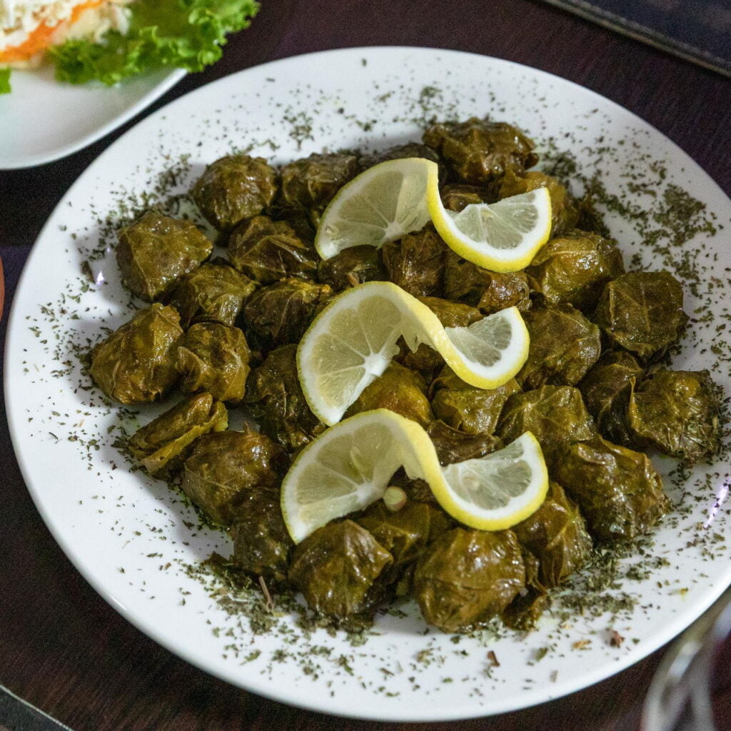 greek dolmades or dolmadakia, a delicious greek meze dish