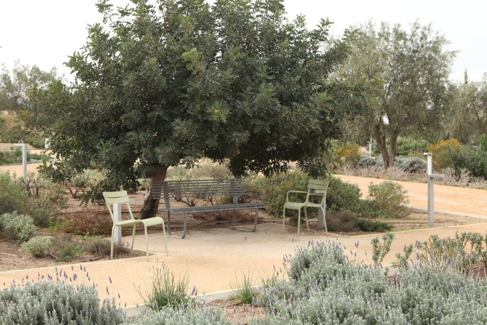 a park bench under a tree in the Stavros Niarchos park in Athens