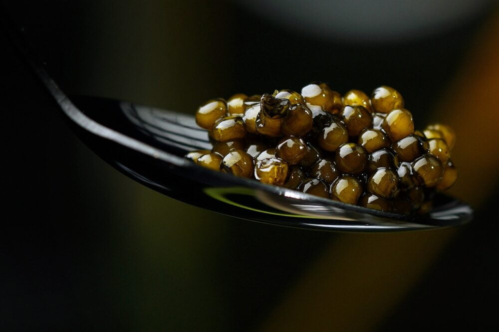 black caviar, greek caviar from thesauri company in arta, greece