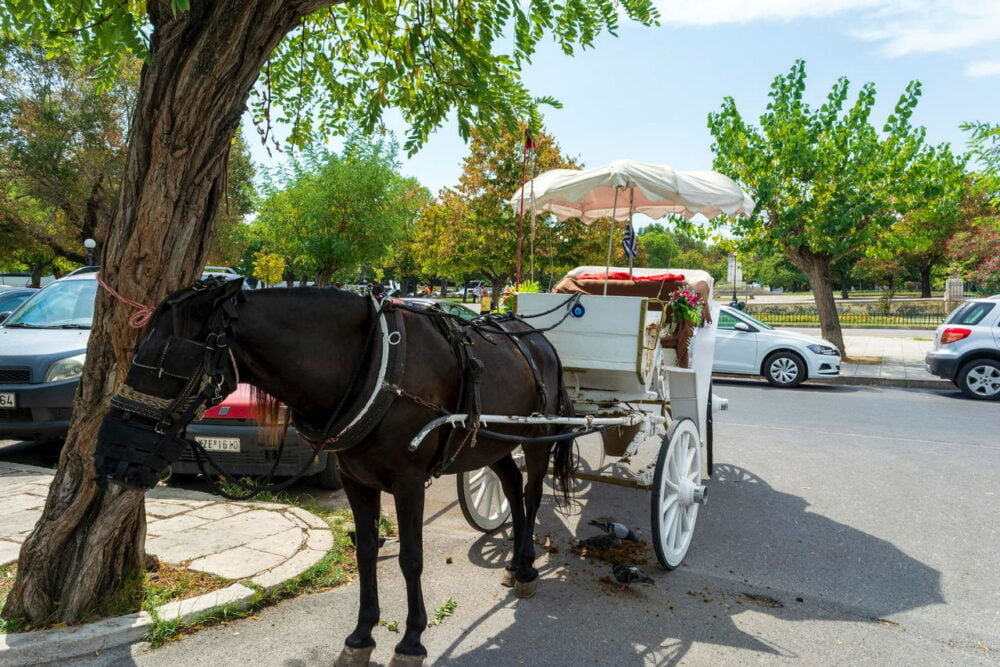 horse carriage at corfu